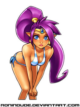 Shantae Bikini Pic 2