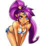 Shantae Bikini Pic 2