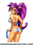 Shantae Bikini Pic 3