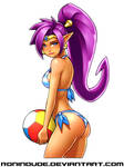 Shantae Bikini Pic 6