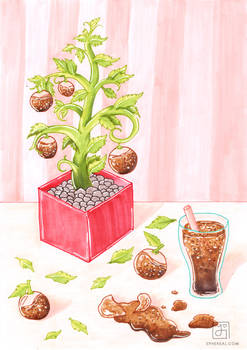 Herb Garden: Cola