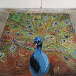 Peacock Chalk Art