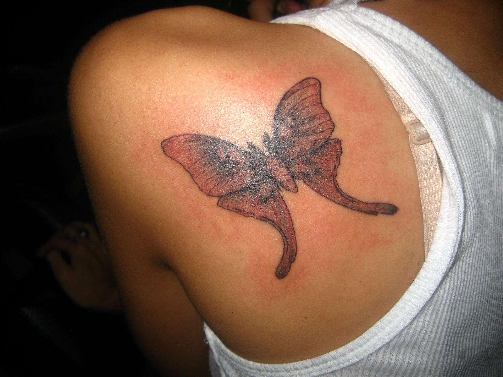 Luna Moth Tattoo By Camwhore29 On Deviantart Luna Moth Tattoo By Camwhore29 On Deviantart