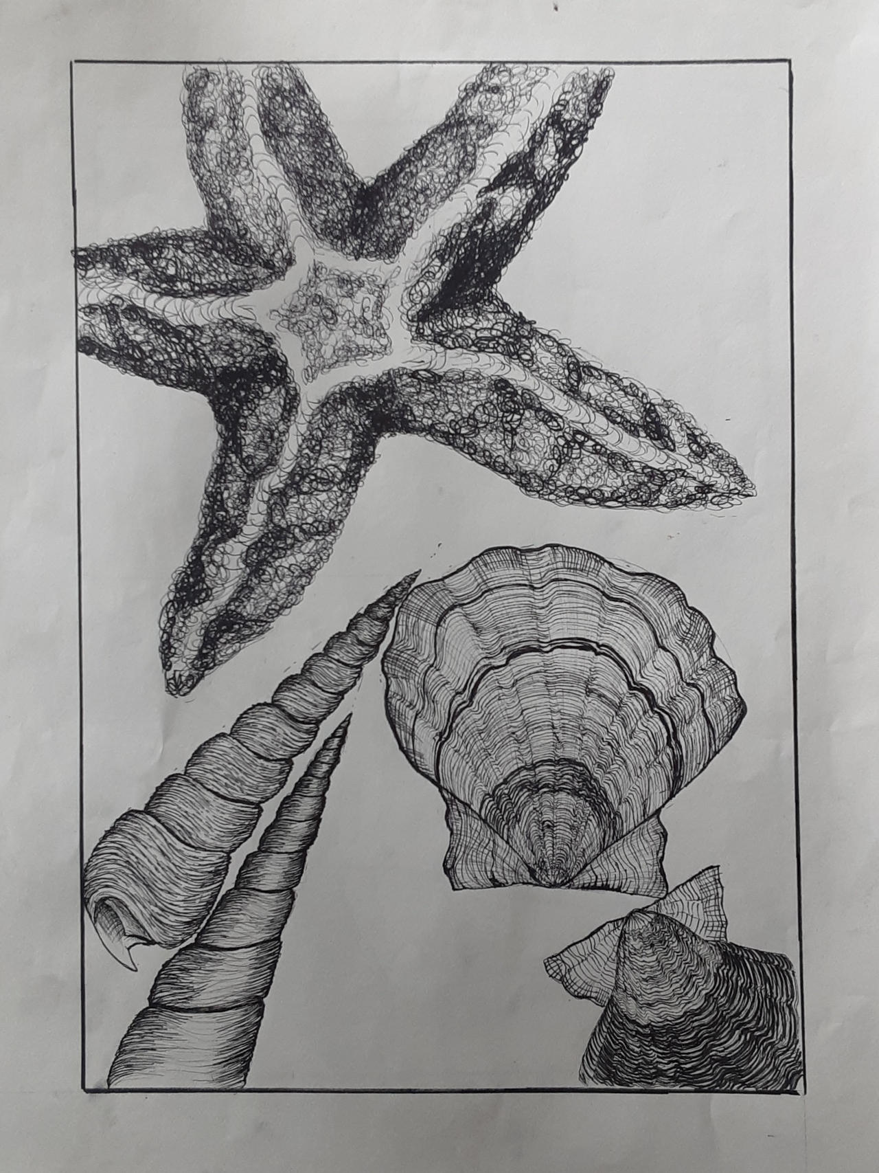 Shells by yukiluver123 on DeviantArt