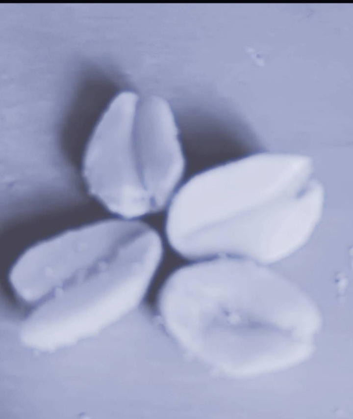 Peanuts by Svanedellen on DeviantArt