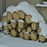 wood pile