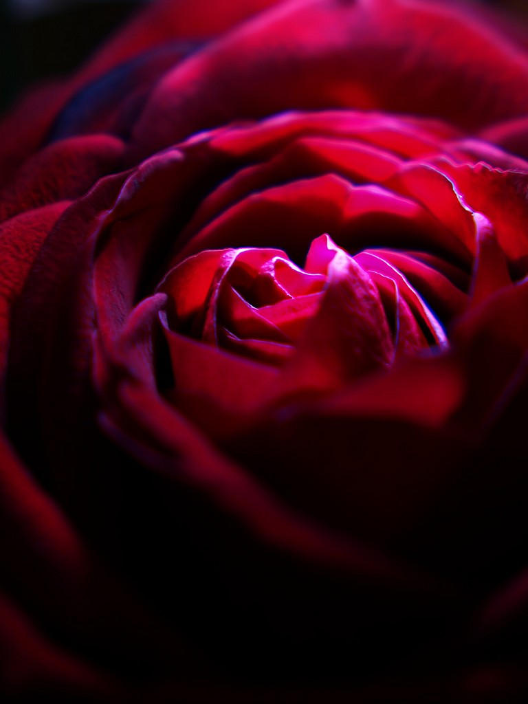 Red Red Reeeed Part 3 by Thomas61 on DeviantArt