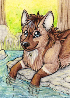 ACEO: Kalak