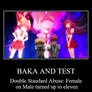 Baka and Test Demotivational Poster