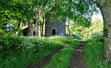 Shoe fixers cottage in summer