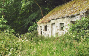Irish Cottage UPDATED