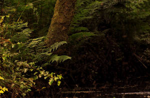 Grove River II