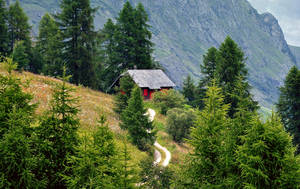Alpine House