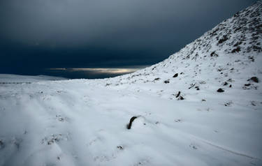 The Snout of the Carn