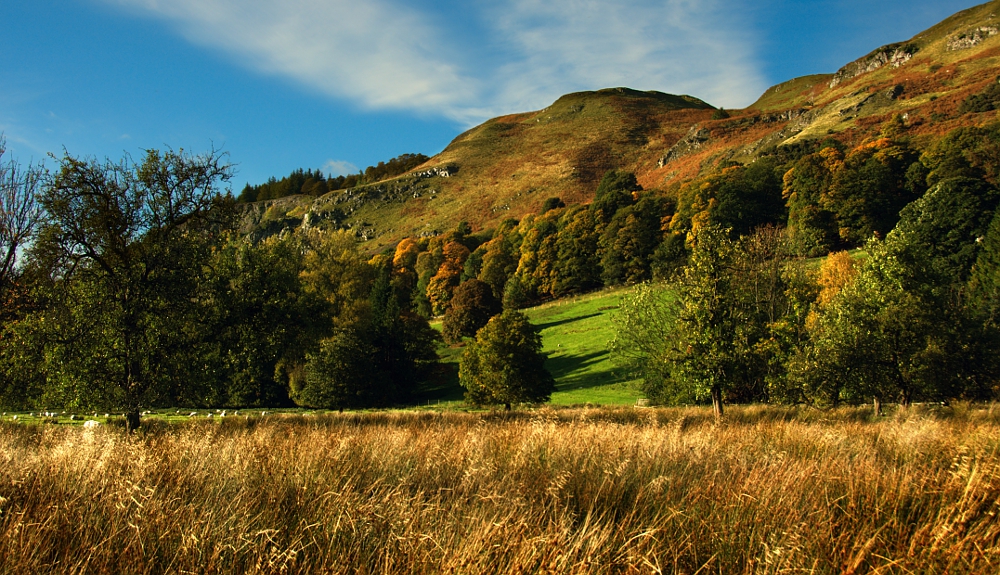 Yellowcraig, Stirling