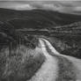 A very Irish lane
