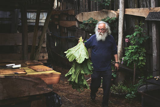 Making Curanto, Castro, Chile