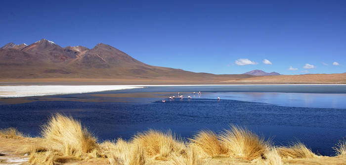 Laguna Hedionda