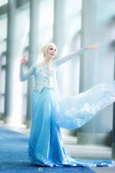 One with the wind and sky: Elsa - Frozen Cosplay