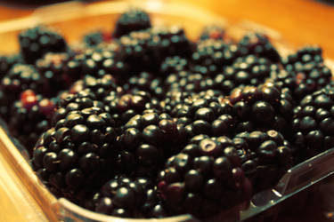 Blackberries