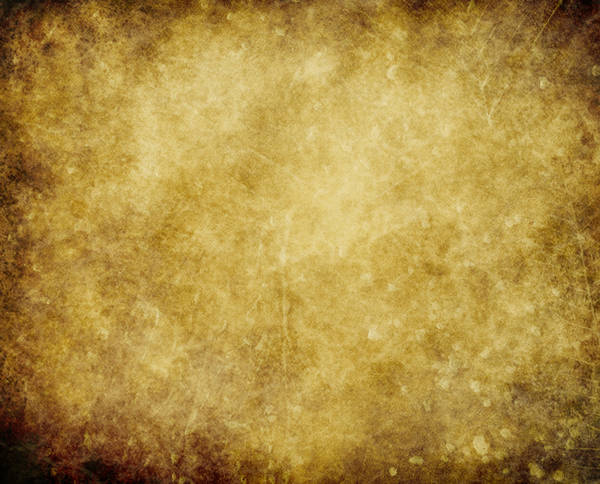 Feathered Gold Texture by pareeerica