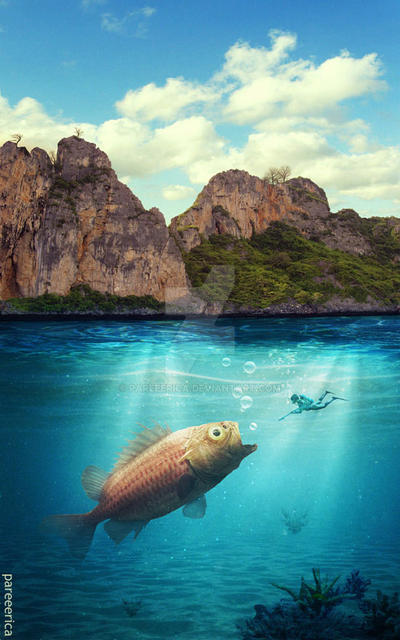Big Fish by pareeerica on DeviantArt