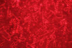 Candy Cane Texture