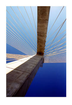 Zakim Lines