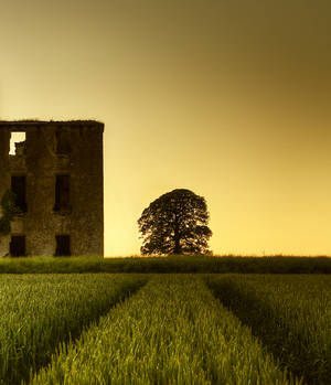 Natures Rule Of Thirds