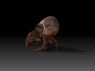 Zbrush Tick