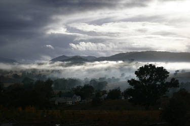 Misty morning