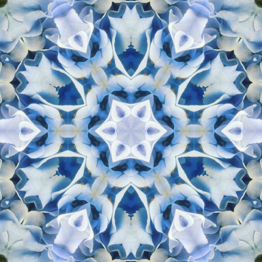 Blooming blue mandala 2 by Mythiana on DeviantArt Blooming blue mandala 2 by Mythiana on DeviantArt