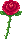 Rose (FTU)