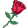 Rose (FTU)