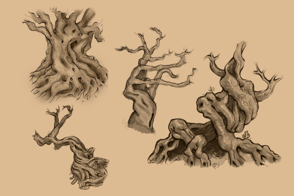 Tree Drawing Screech Tree sketches 1 by R-phier on DeviantArt