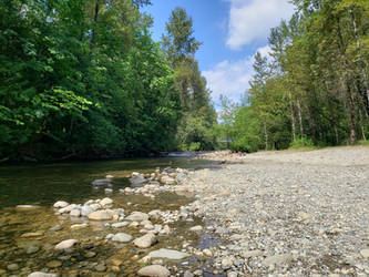 Rivers and Rocks along the Forest