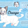 Fursona: Changa 2015 Reference Sheet
