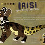 OC: Irisi