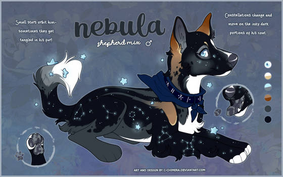 AUC OC: Nebula