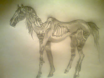 zombie apocalypse horse