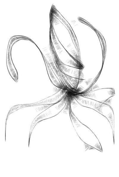 Admins Digimon OC - rookie by RL-182 on DeviantArt