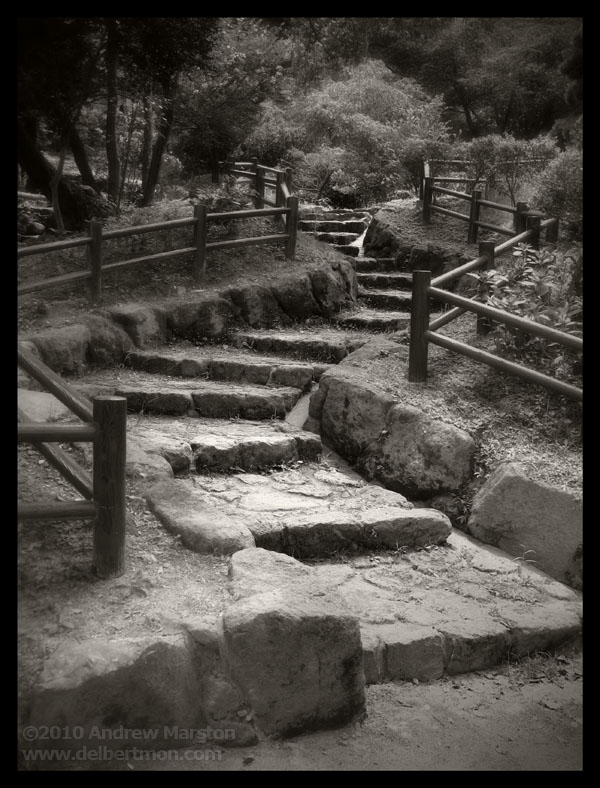 Stone Stair in Wakamatsu Park