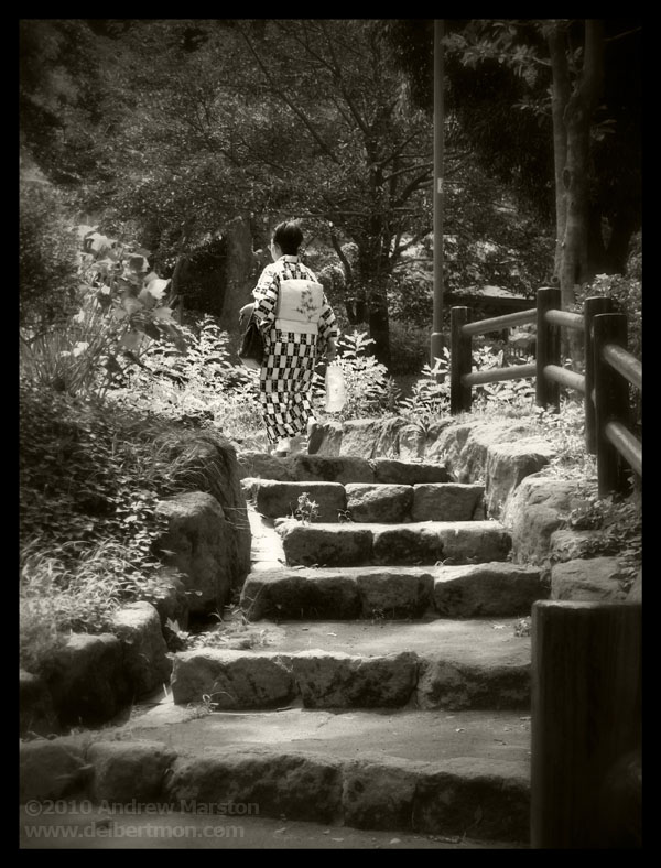 A Kimono in Wakamatsu