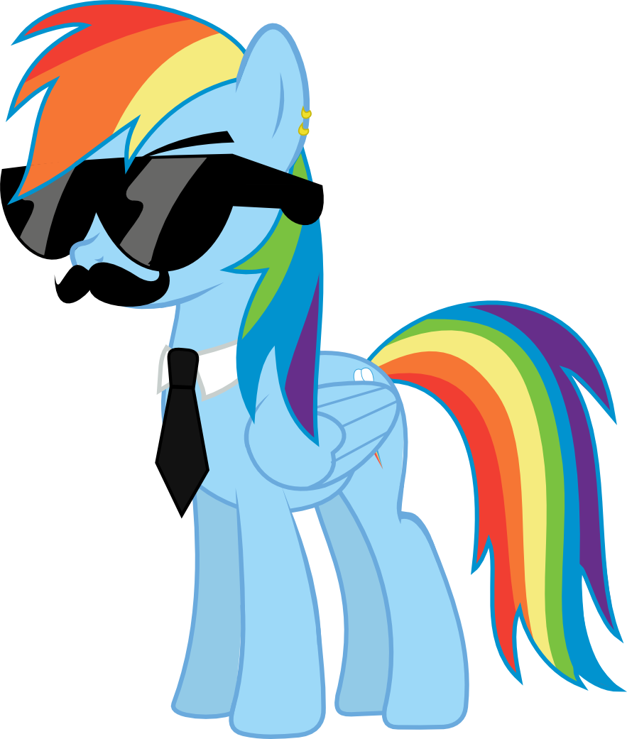 Mane Six Got Swag: Rainbow Dash