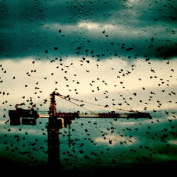 Before the night comes...