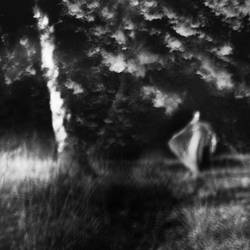 Night Dance