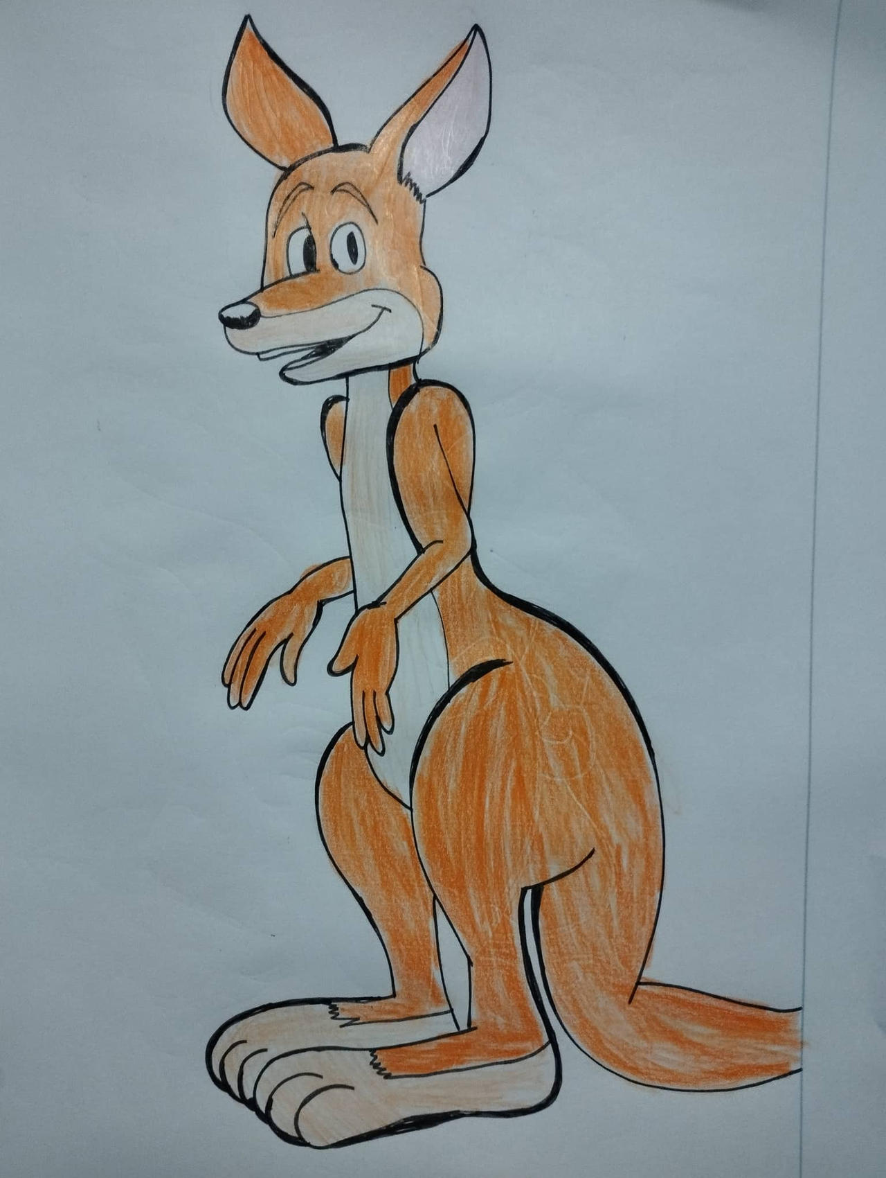 Kangaroo by BogiATunde on DeviantArt