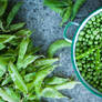 Shelling Peas