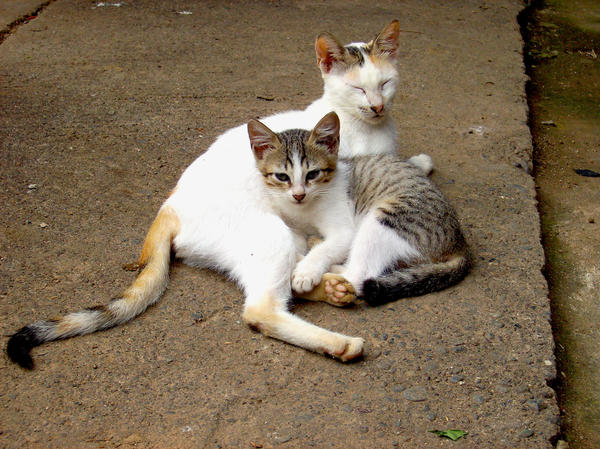 mother and daughter