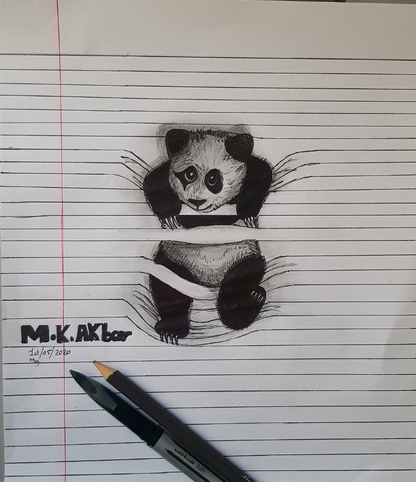 3D Panda Drawing by fastestbabloo on DeviantArt